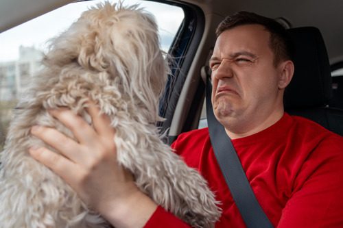 man grimacing while holding dog in front of him in his car