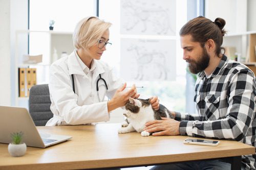 female vet administering vaccine to brown and white cat held by male owner at clinic