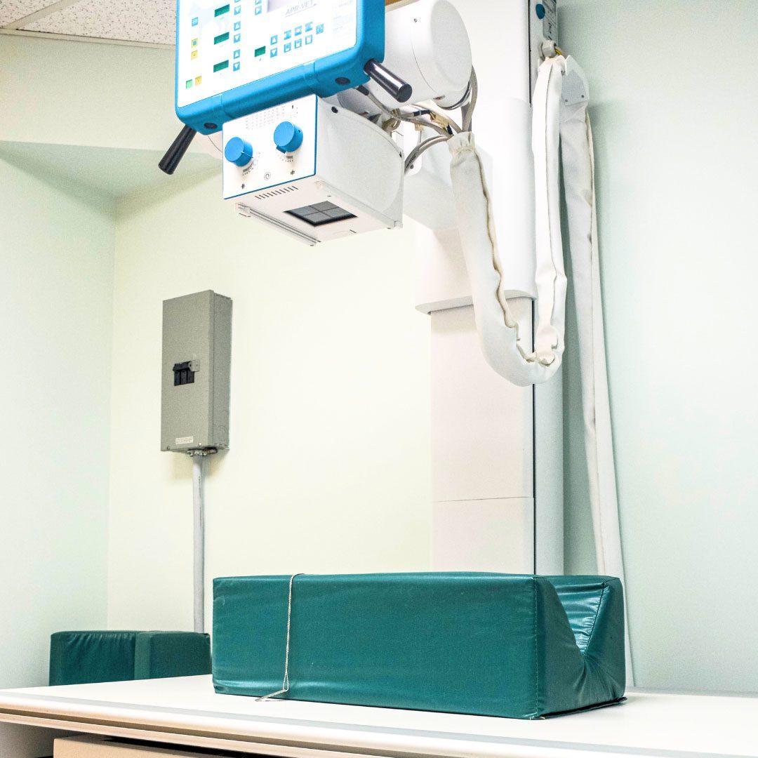 X Ray Equipment at manchester animal hospital
